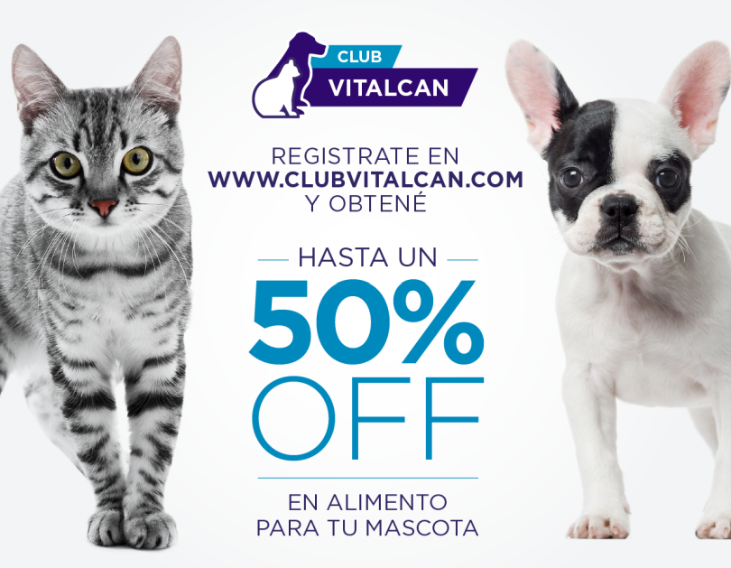 Portada de Rapp Argentina presentó Club Vitalcan