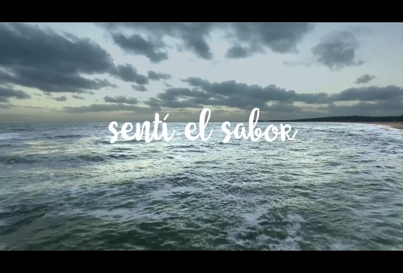 Portada de Coca-Cola y Rombai presentan la versión karaoke de su éxito “Sentí el sabor”