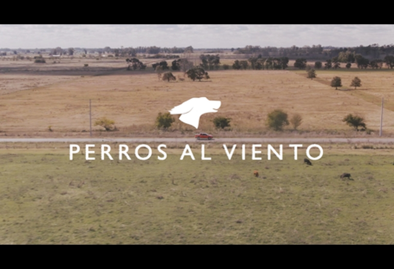 Portada de “Perros al viento”, lo nuevo de Niña para Fiat y El Campito Refugio por el Día del Animal