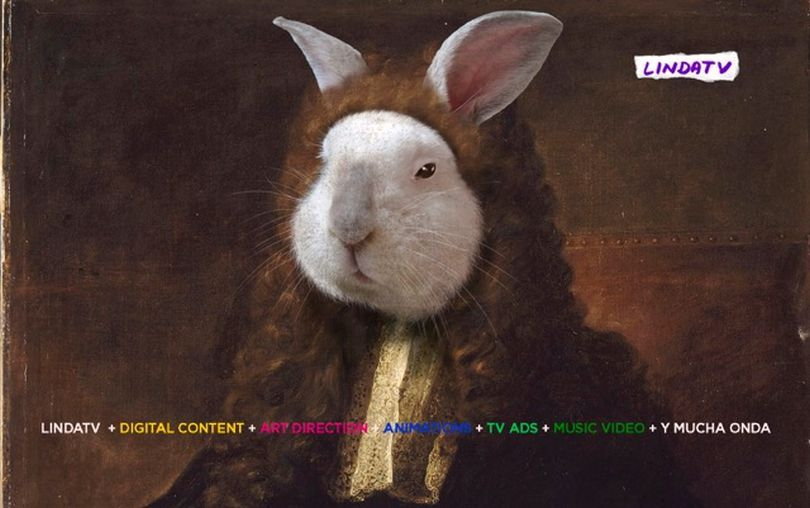 Portada de Lindatv presenta nuevos formatos de producción de contenidos