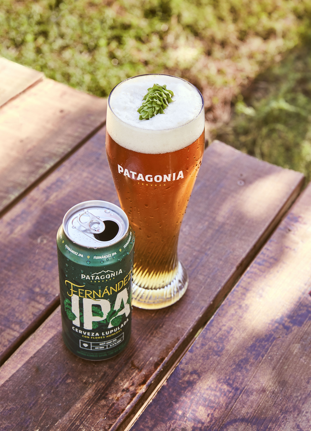 Portada de Fernández IPA, la variedad de Cerveza Patagonia que celebra la cosecha de lúpulo