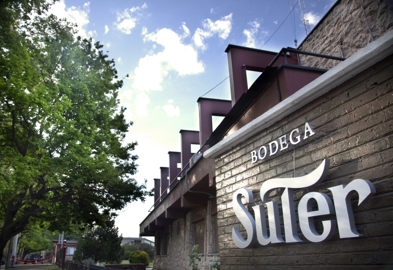 Portada de Bodega Suter: 120 años de protagonismo