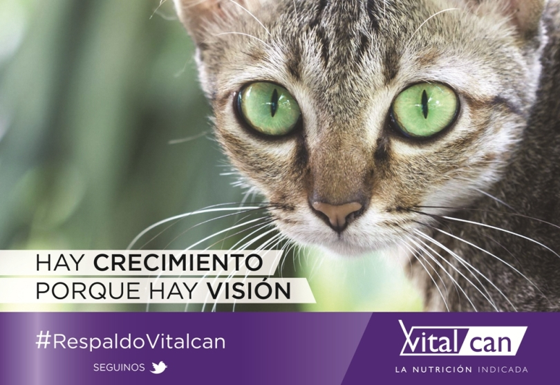 Portada de Vitalcan en vía pública junto a Masa Ideas