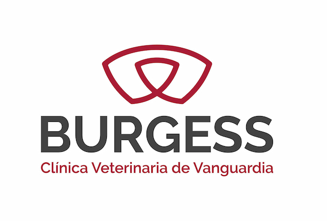 Portada de Burgess presenta su nueva imagen de marca