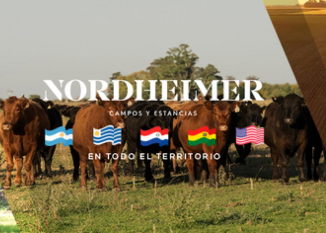 Portada de  Nordheimer dice presente en Expoagro 2025