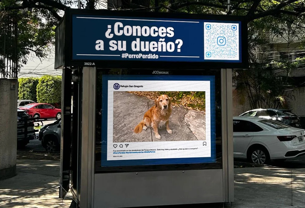 Portada de México: medio de publicidad exterior ayuda al reencuentro entre una mascota y su dueño