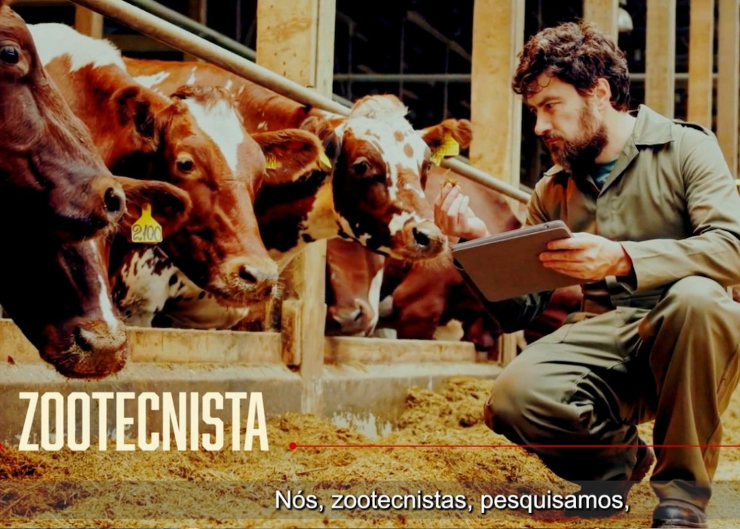 Portada de Brasil: Comunicación Nacional y el Consejo Federal de Medicina Veterinaria presentan una campaña