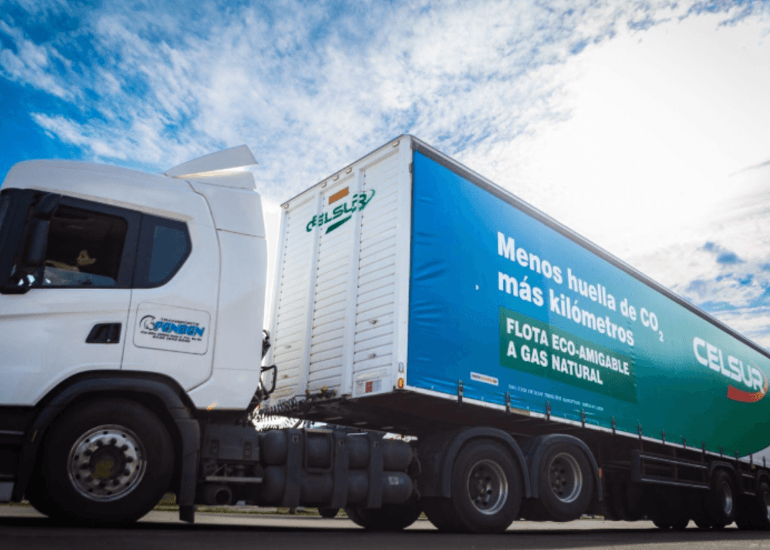 Portada de Celsur cumple 30 años de innovación