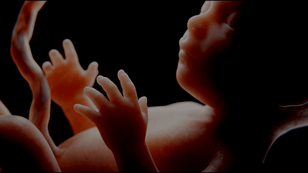 Portada de Nueva campaña de Philco y Agens