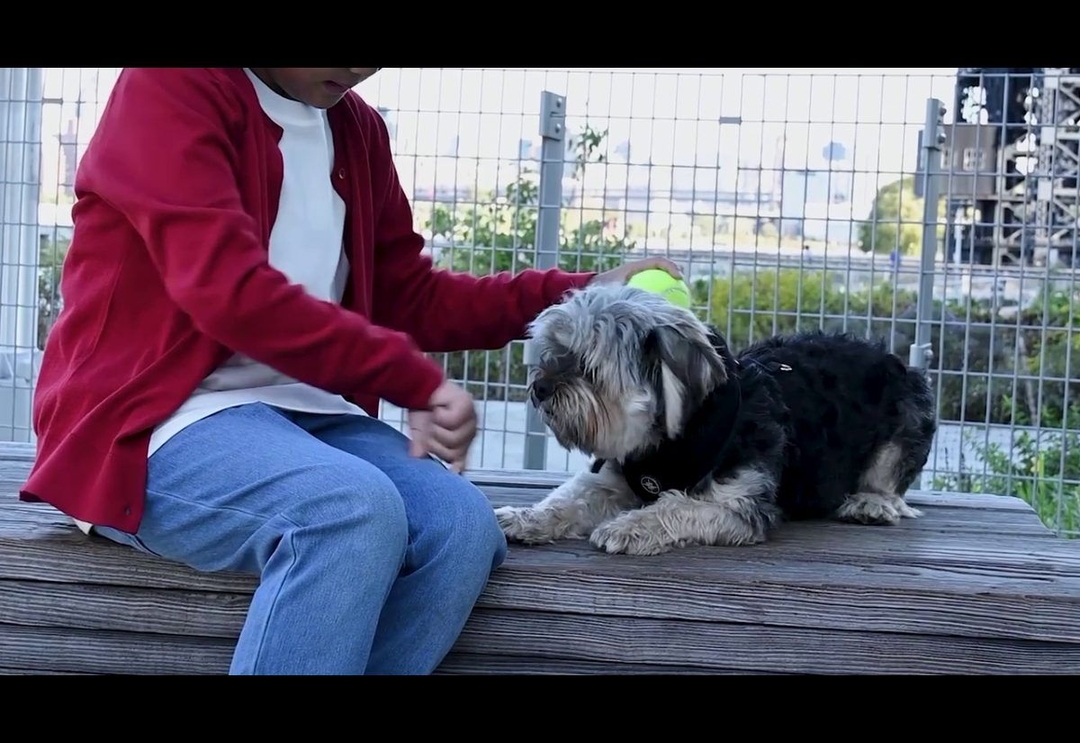 Portada de La Fundación Solidaridad Cáncer presenta la campaña "Dos cachorros" contra el cáncer infantil, creada por Amén Argentina