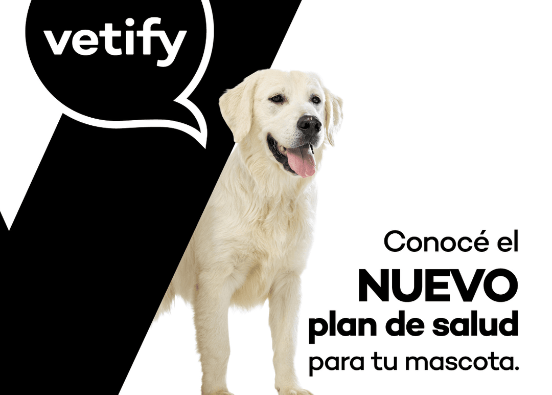 Portada de Tu mascota más tiempo con vos,  la campaña de lanzamiento de Vetify