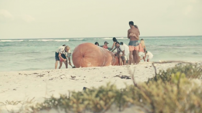 Portada de Salchicha gigante varada en una playa, en un comercial de McCann Mexico para BestDay.com