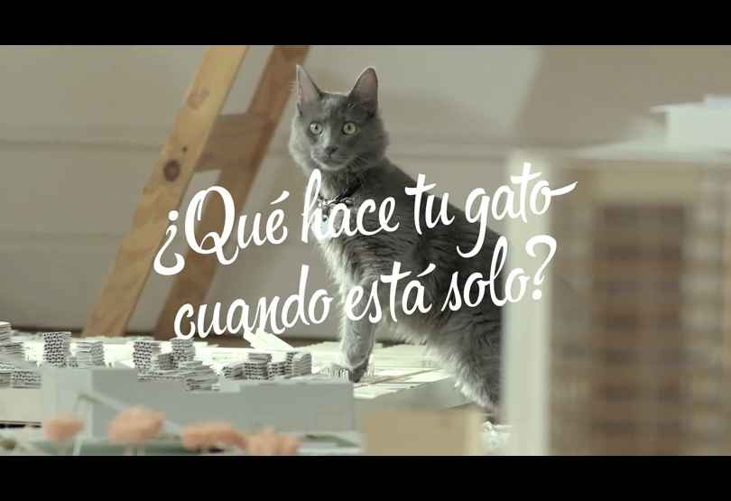 Portada de Pre-estreno: "¿Qué hace tu gato cuando está solo?", la nueva campaña de Publicis Buenos Aires para Cat Chow