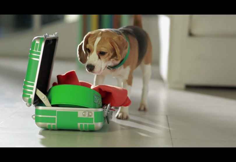 Portada de "Mi perro nos lleva de viaje", lo nuevo de Purina Dog Chow por Mondelo