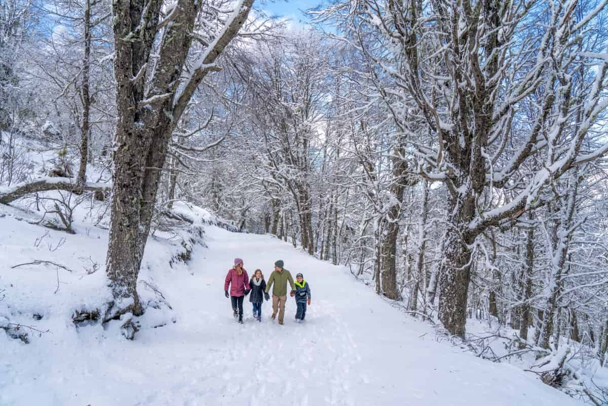 Portada de Bariloche lanzó su temporada de invierno 2022