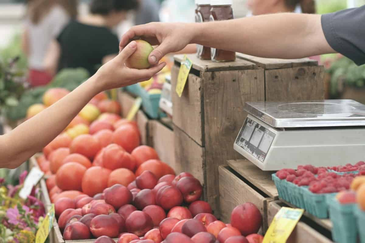 Portada de Un estudio de Kantar muestra que la experiencia del consumidor es clave como motor para el crecimiento de una marca