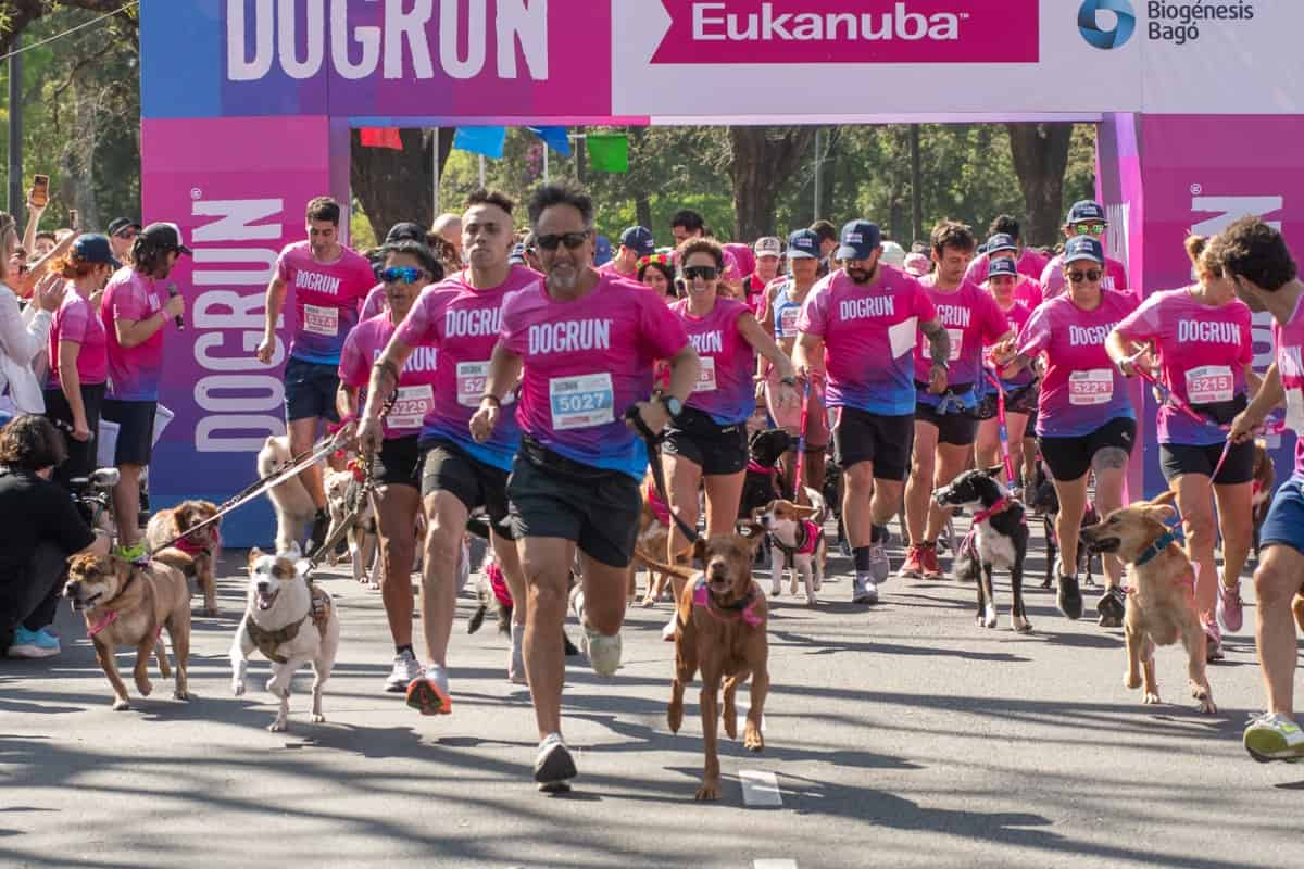 Portada de DOGRUN2024: Más de 3.000 personas participaron del evento para compartir con sus perros