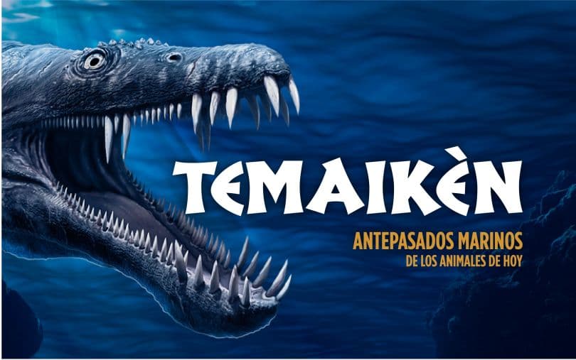 Portada de “Antepasados Marinos”, una nueva experiencia sobre la vida en el agua en Temaikèn