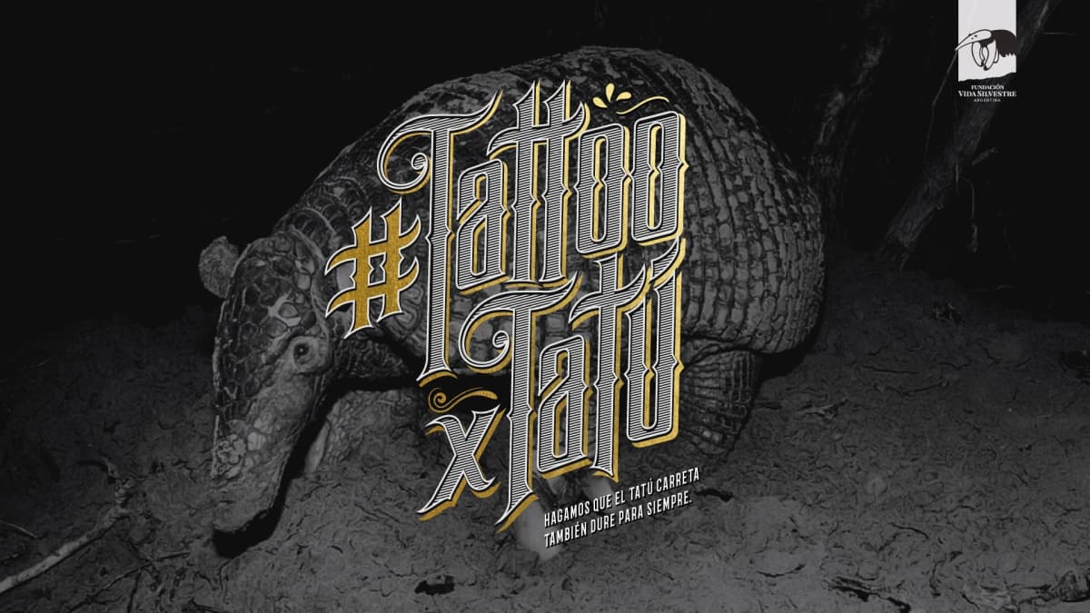 Portada de "TattooxTatú", nueva campaña VMLY&R para Fundación Vida Silvestre