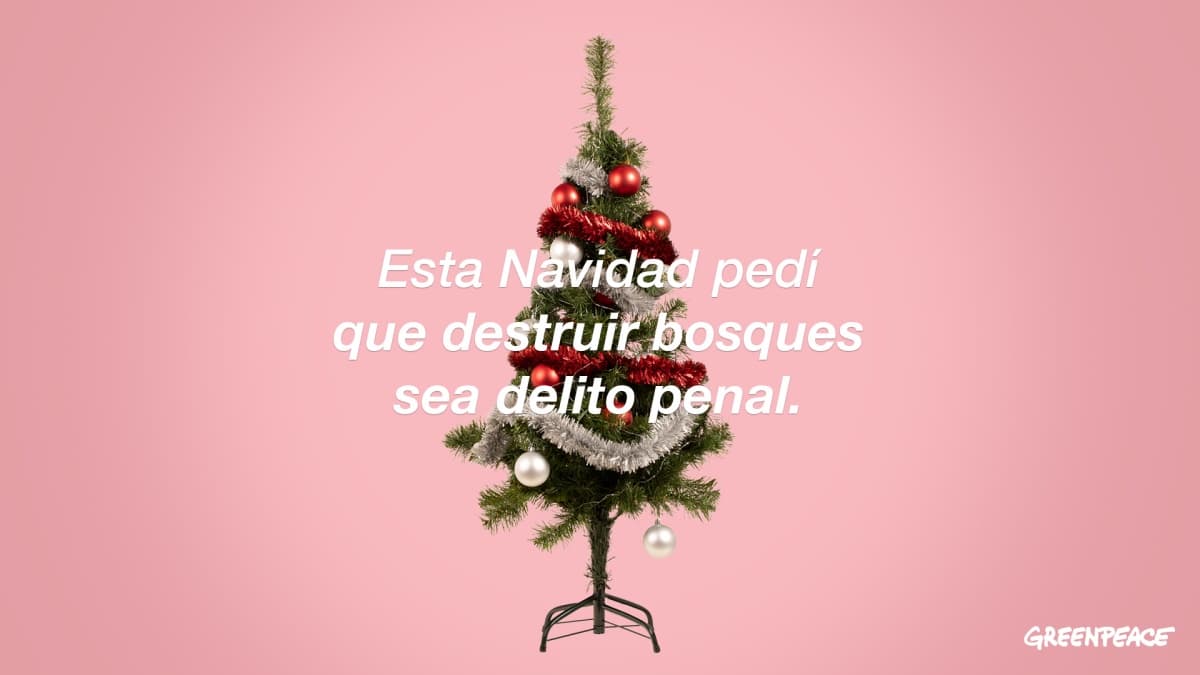 Portada de Digitas y Greenpeace aprovechan el armado del arbolito de Navidad para hablar de los bosques quemados durante el 2020