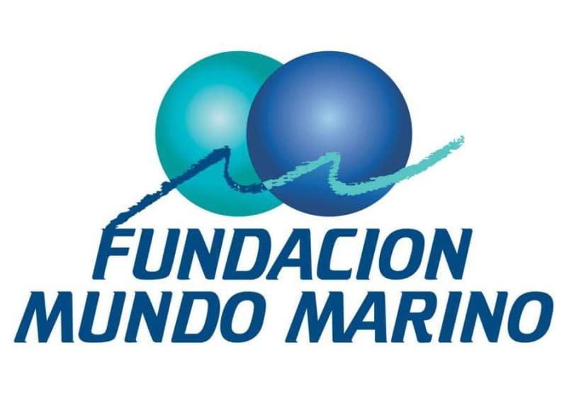 Portada de La Fundación Mundo Marino enseña a proteger el medioambiente