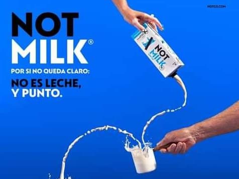 Portada de Not Co: un análisis de sus campañas