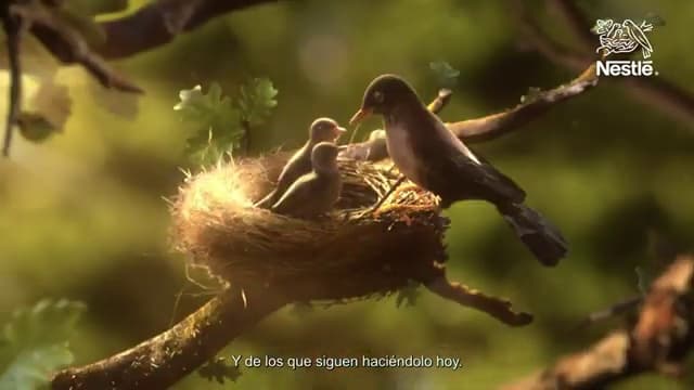 Portada de Ogilvy Chile y Nestlé presentan la campaña institucional “Buena Vida”