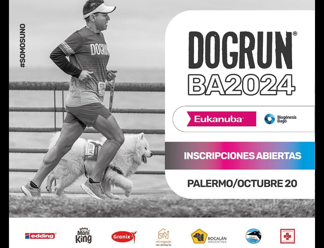 Portada de Llega una nueva edición de DogRun 