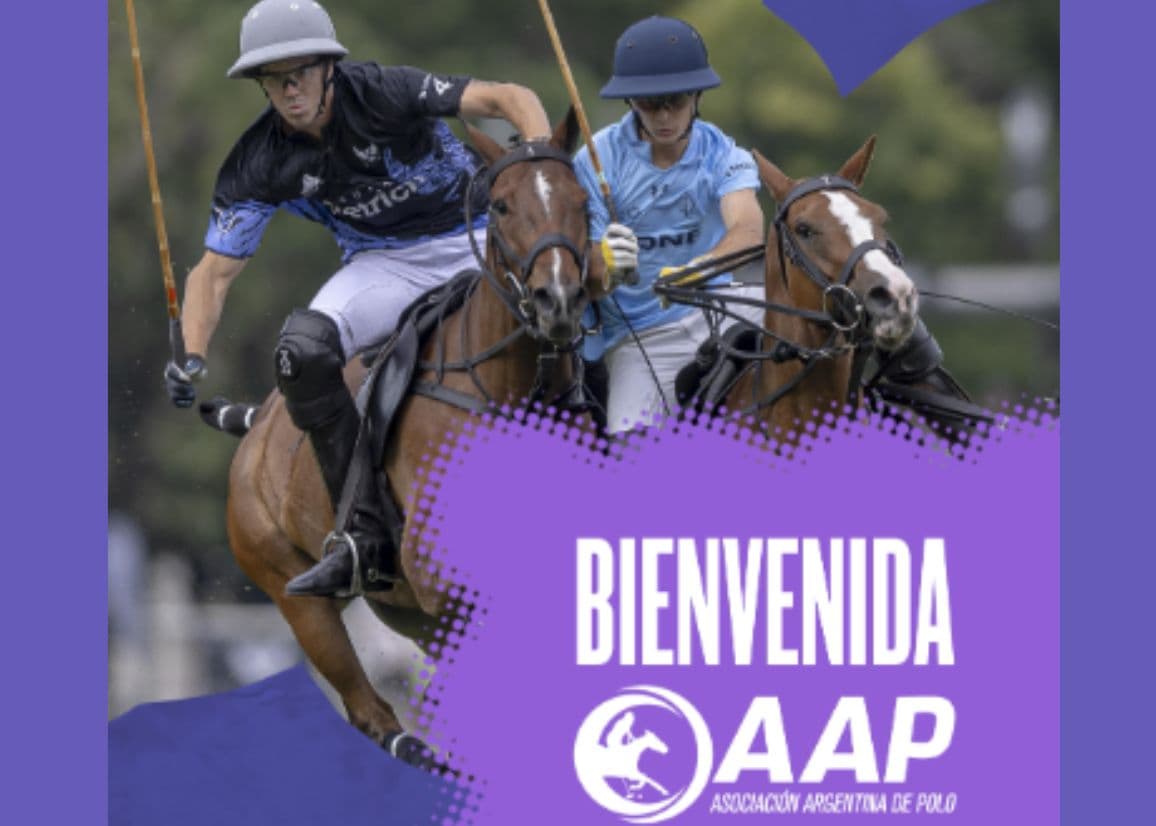 Portada de La Asociación Argentina de Polo seleccionó a Rotundo como su agencia de diseño y creatividad