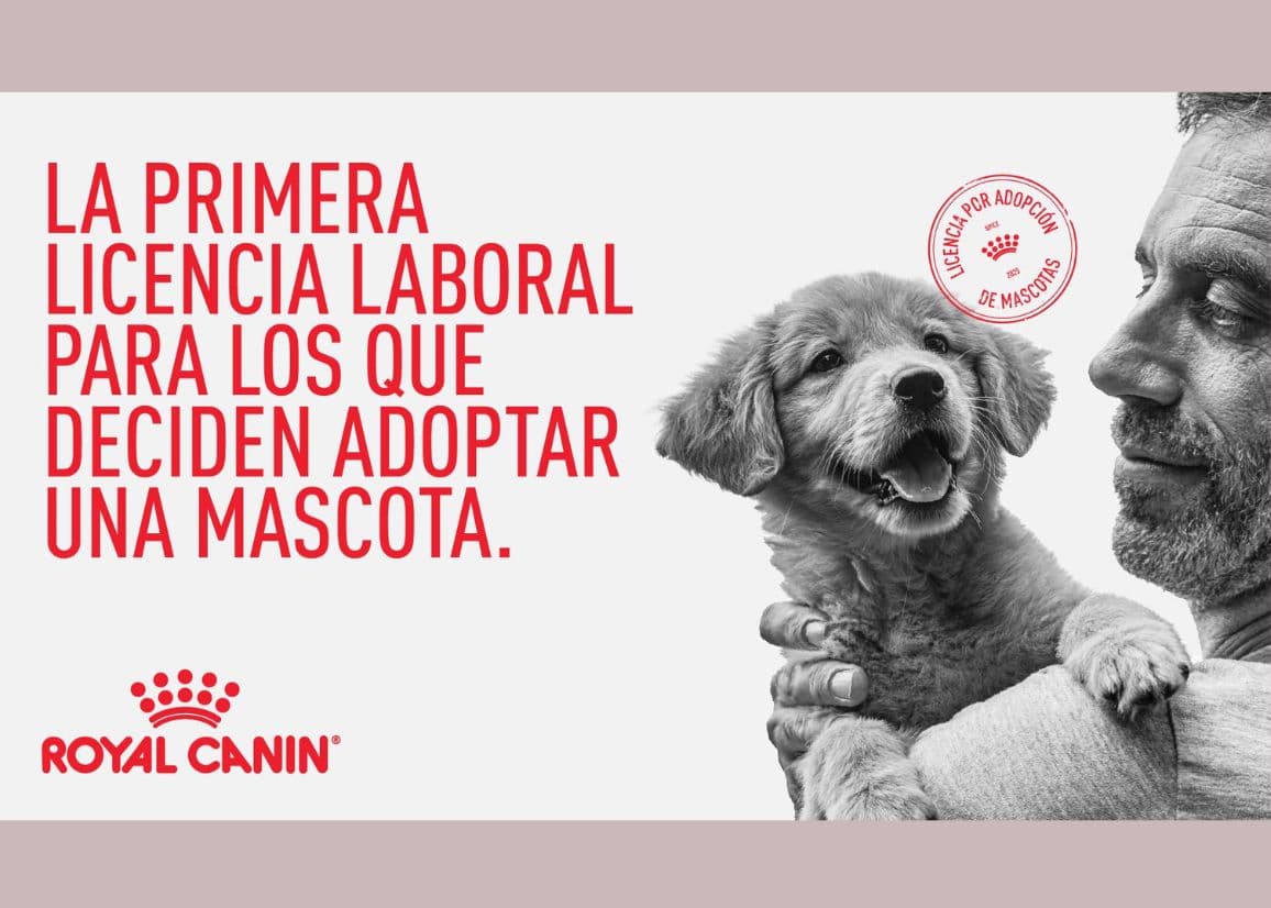 Portada de Royal Canin y TombrasNiña crearon la primera licencia por adopción de mascotas