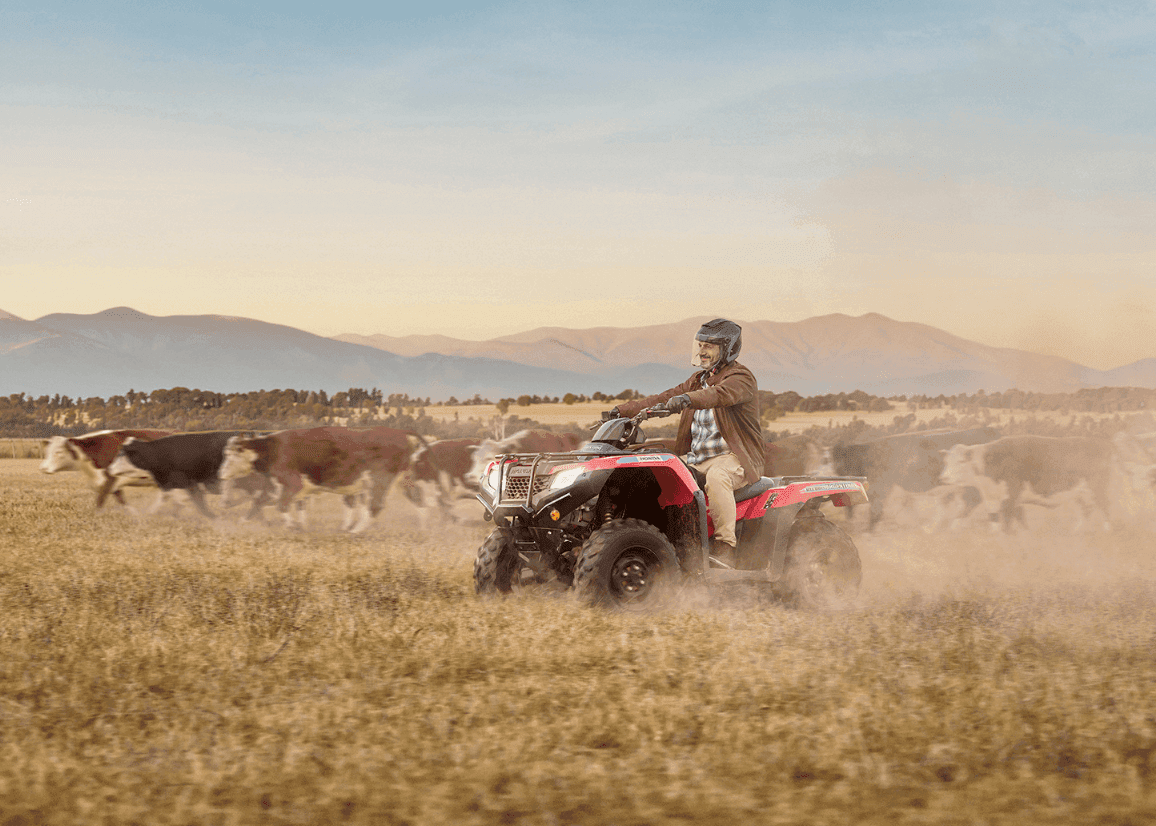 Portada de Almacén y Honda le dan la bienvenida al Honda TRX420