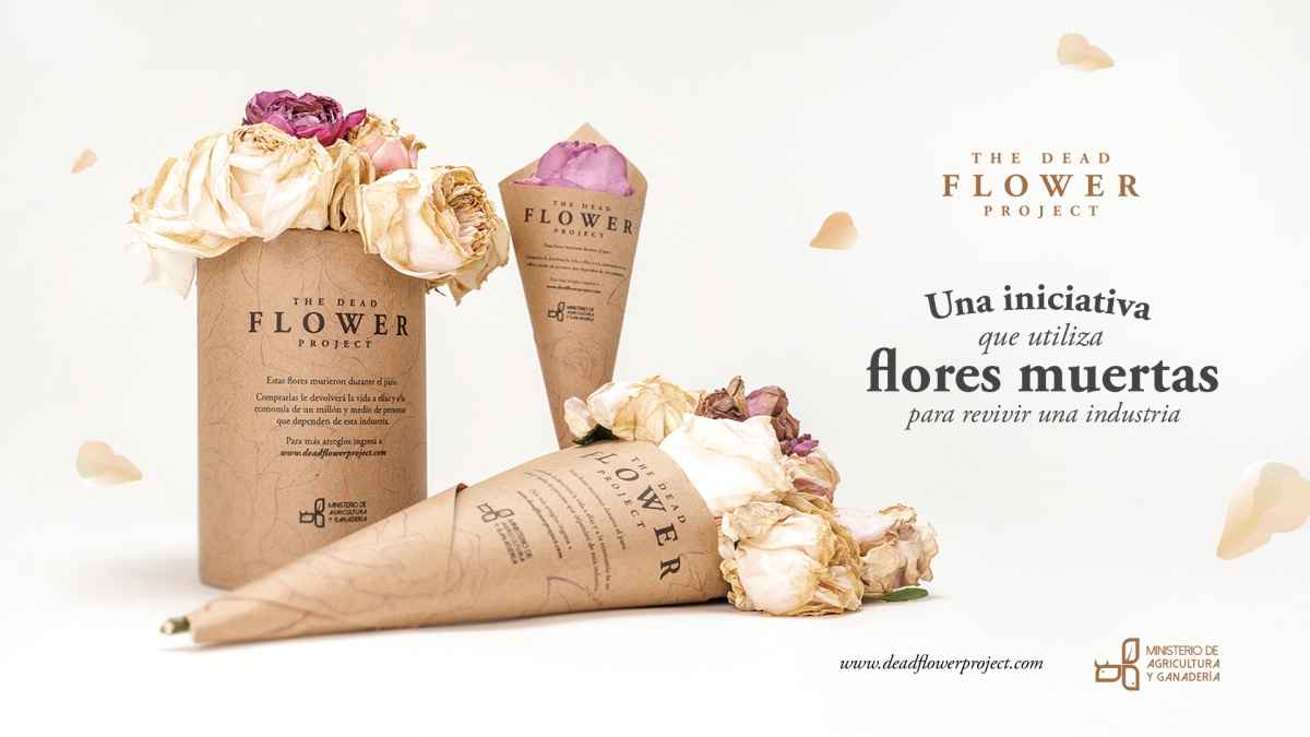 Portada de Paradais DDB presenta su campaña The Dead Flower Project