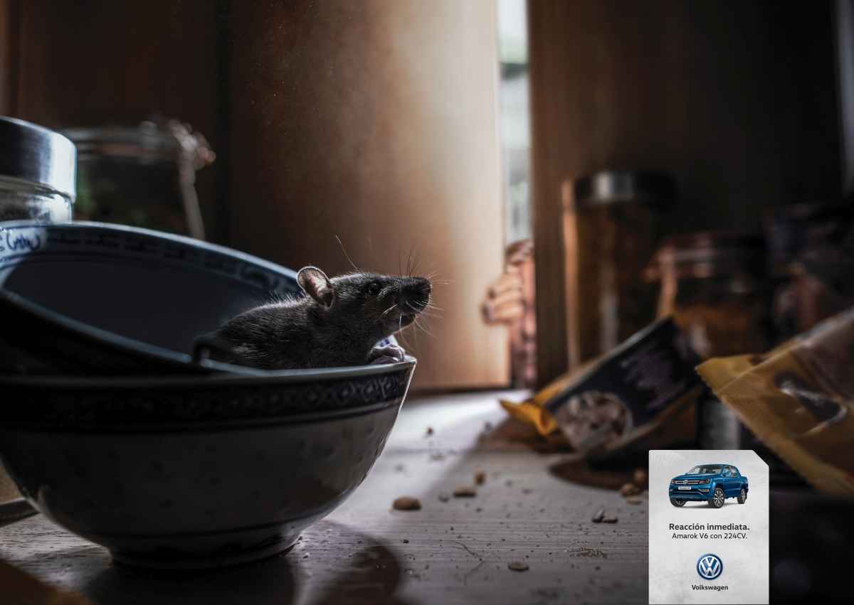 Portada de Pre-estreno: Volkswagen y Geometry Argentina presentan "Reacciones", su nueva campaña para Amarok V6