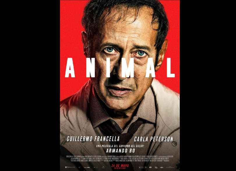 Portada de El teaser de ANIMAL, el thriller dirigido por Armando Bo