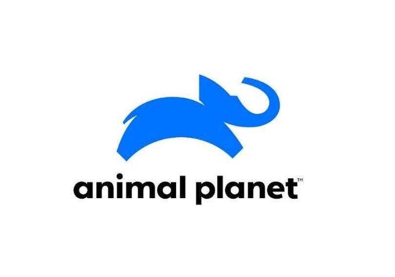 Portada de Animal Planet renueva su identidad de marca en Latinoamérica