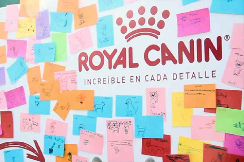Portada de Indie y Royal Canin festejaron el Día del Veterinario
