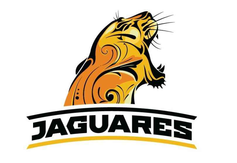 Portada de QBE Seguros la Buenos Aires apuesta a Los Jaguares en el Súper Rugby