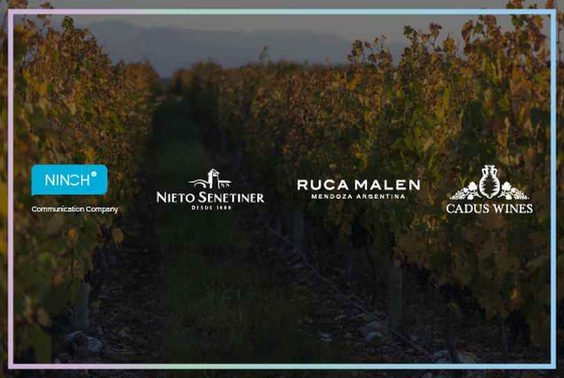 Portada de Nieto Senetiner, Cadus Wines y Ruca Malén eligen a Ninch como su agencia de Brand PR
