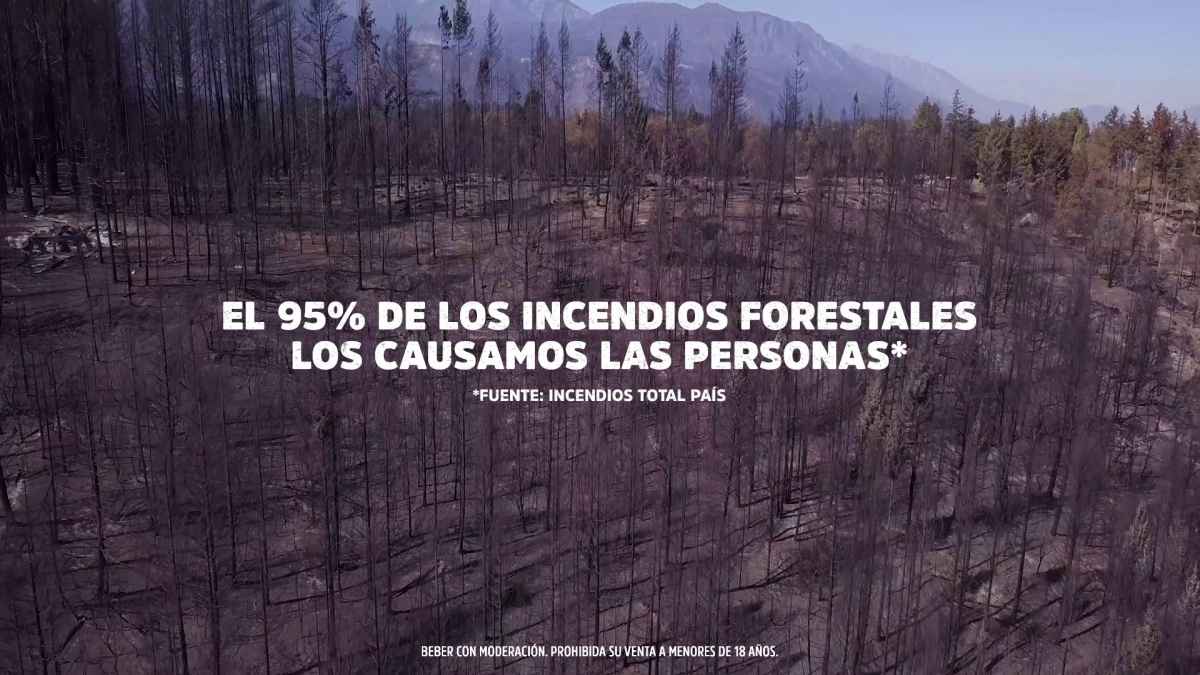 Portada de Cerveza Patagonia y R/GA generan conciencia sobre los incendios en Bariloche