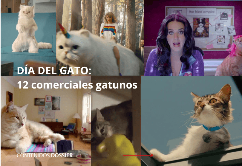 Portada de ¡Es el Día del Gato! lo festejamos con 12 avisos de felinos en la publicidad