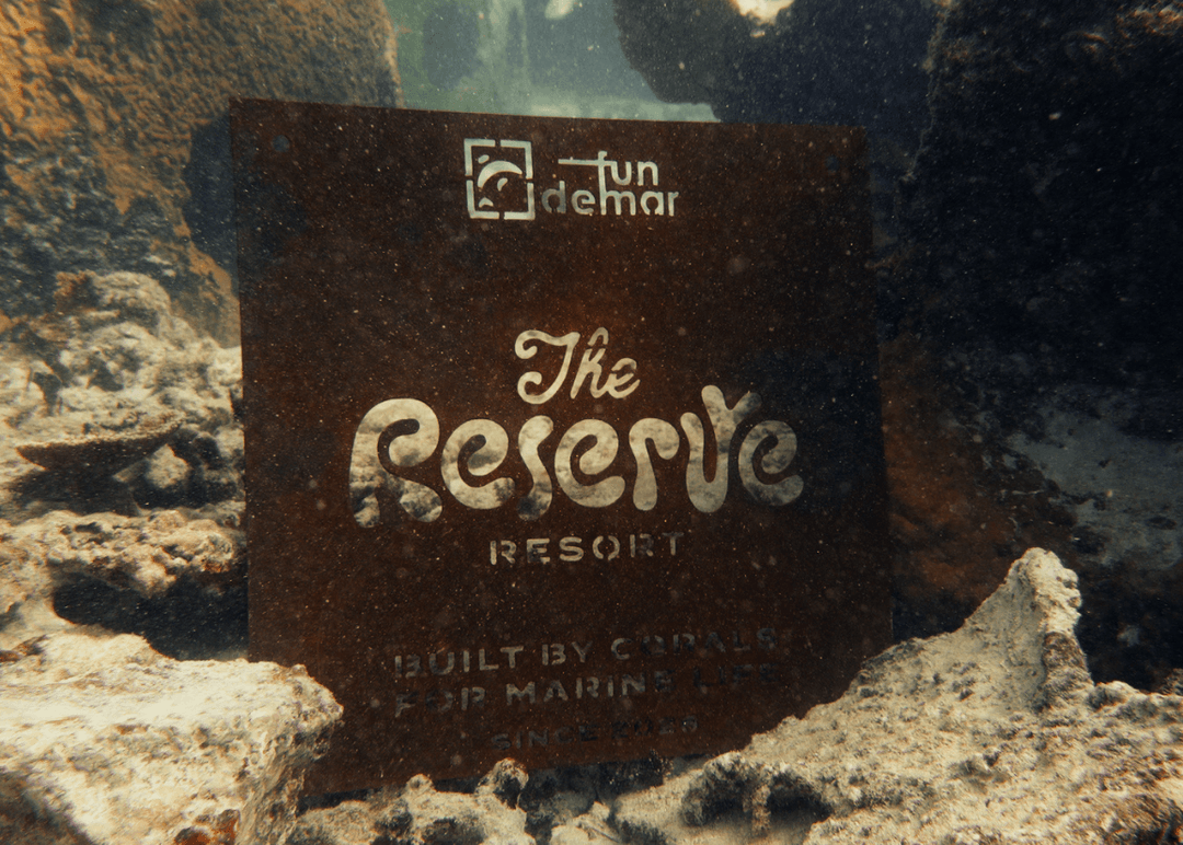 Portada de Ogilvy Dominicana, Fundemar y Tornus convierten a los arrecifes en un hotel