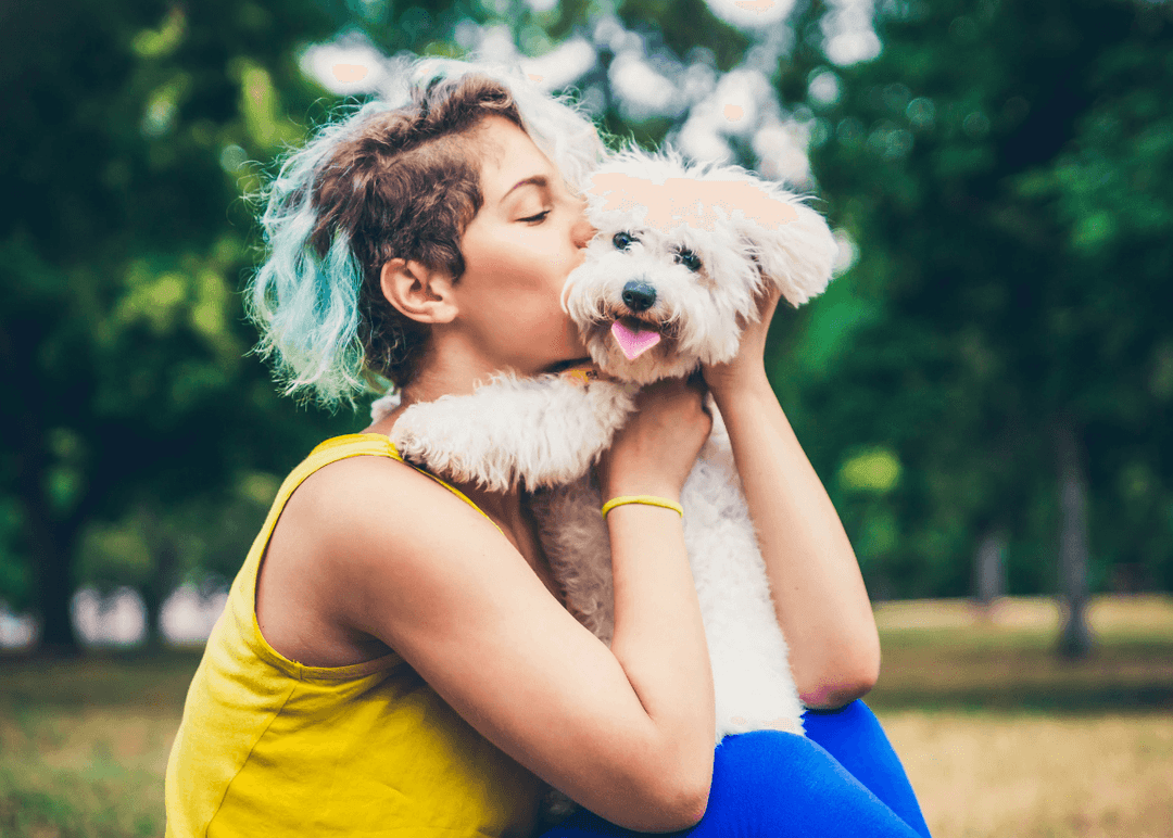 Portada de Día Mundial del Perro: informe de Pedigree confirma que convivir con un perro hace bien